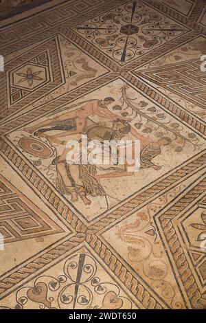 Mosaico del pavimento romano, la punizione di Dirce, Pola, Croazia, Europa Foto Stock