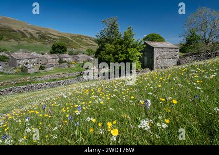 Il villaggio di Thwaite in estate, Swaledale, Yorkshire Dales National Park, Yorkshire, Inghilterra, Regno Unito, Europa Foto Stock