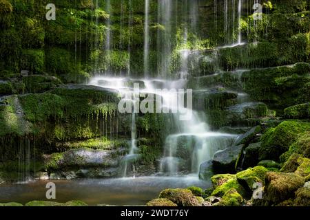 Scaleber Force Waterfall, vicino a Settle, Yorkshire Dales National Park, Yorkshire, Inghilterra, Regno Unito, Europa Foto Stock