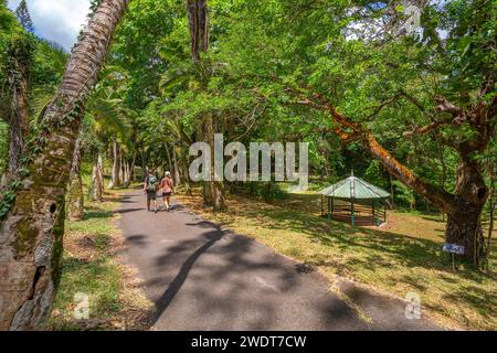 Veduta del Giardino Botanico Sir Seewoosagur Ramgoolam, Mauritius, Oceano Indiano, Africa Foto Stock