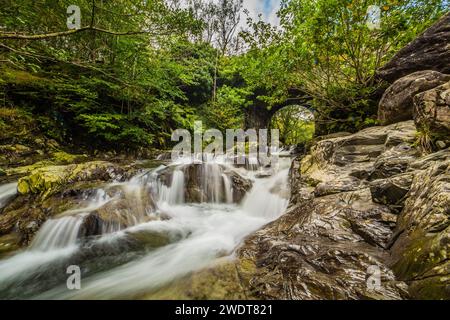 Ammira Church Beck, che scorre lungo la Coppermines Valley fino a Coniston Water, il Lake District National Park, sito patrimonio dell'umanità dell'UNESCO, Cumbria Foto Stock