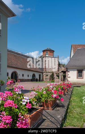 Storica stampa vinicola locale ed ex mura cittadine, Westhoffen, Alsazia, Francia, Europa Foto Stock