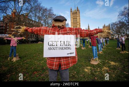 Londra, Regno Unito 22 gennaio 2024 dozzine di spaventapasseri stanno "protestando" oggi fuori dalle camere del Parlamento, chiedendo al governo di forzare i principali supermercati "Big Six" - Tesco, Sainsbury's, Asda, Morrisons, Aldi, e Lidl - a #GetFairAboutFarming. I 49 spaventapasseri che si trovano fuori dal Parlamento rappresentano il 49% degli agricoltori di frutta e verdura che affermano che è probabile che cesseranno l'attività nei prossimi 12 mesi, secondo una ricerca della società di scatole di verdure biologiche Riverford. La “protesta” precede i deputati che oggi discutono la campagna Get Fair sull’agricoltura nella camera dei comuni alle 16:30 Foto Stock