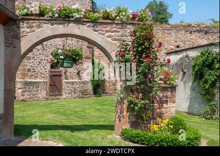 Resti delle mura storiche della città, Westhoffen, Alsazia, Francia, Europa Foto Stock