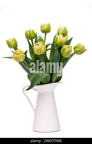 Elegante e morbido bouquet primaverile di tulipani veronesi in vaso bianco su fondo bianco. Tulipani primaverili. Taglio al bouquet di tulipani. Foto Stock