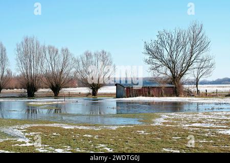 Prato allagato Foto Stock
