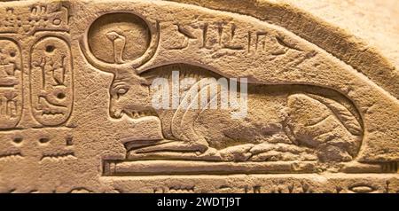 Egitto, Saqqara, Serapeum, Apis Bull Stele, che mostra anche un altro toro sacro: Mnevis. Foto Stock