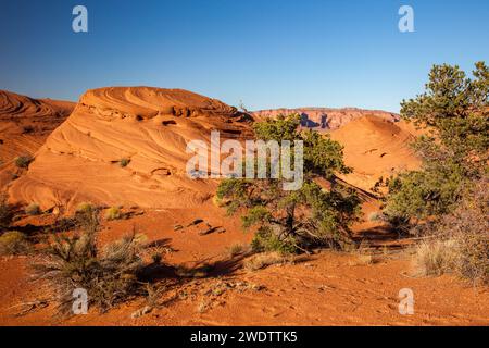 Modelli di letti incrociati nell'arenaria erosa nella Mystery Valley nel Monument Valley Navajo Tribal Park in Arizona. Foto Stock