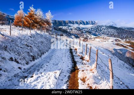Carpazi, Romania. Incantevole paesaggio innevato invernale con la regione turistica rurale di Rucar-Bran, il villaggio di Sirnea e le montagne di Piatra Craiului. Foto Stock