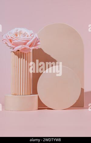 Elegante arco di rose fresche, spazio arrotondato vuoto come mockup di podi con boccioli volanti sul palcoscenico rosa per la presentazione di prodotti cosmetici, pubblicità Foto Stock