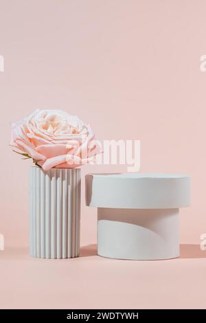 Piattaforme o piedistalli bianchi vuoti con fiore di rosa in fiore per l'esposizione del prodotto. Vuoto indica l'esposizione o la presentazione dei prodotti. Foto Stock