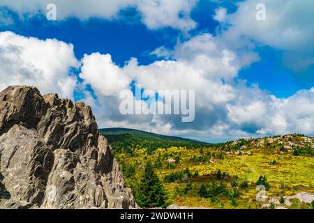 Uno splendido paesaggio nel Grayson Highland State Park, Virginia Foto Stock