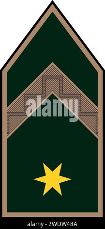 Spalla per ufficiale militare insegne dell'Ungheria ZÁSZLÓS (UFFICIALE DI MANDATO) Illustrazione Vettoriale