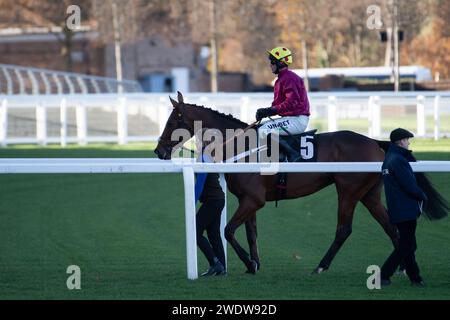 Ascot, Regno Unito. 24 novembre 2023. Ideal di cavalli Des Bordes guidato dal fantino Nico de Boinville si è classificato terzo nella Ascot Partners National Hunt Maiden hurdle Race all'ippodromo di Ascot al November Racing Friday Meeting. Credito: Maureen McLean/Alamy Foto Stock