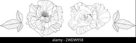 Serie vettoriale di fiori disegnati a mano, incisione a linee, Illustrazione Vettoriale