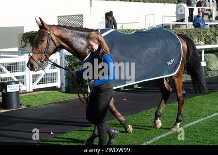 Ascot, Regno Unito. 24 novembre 2023. Ideal di cavalli Des Bordes guidato dal fantino Nico de Boinville si è classificato terzo nella Ascot Partners National Hunt Maiden hurdle Race all'ippodromo di Ascot al November Racing Friday Meeting. Credito: Maureen McLean/Alamy Foto Stock