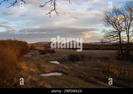 Idilliaca vista panoramica sul paesaggio presso i vulcani, Ungheria, alla luce del sole nel tardo pomeriggio Foto Stock