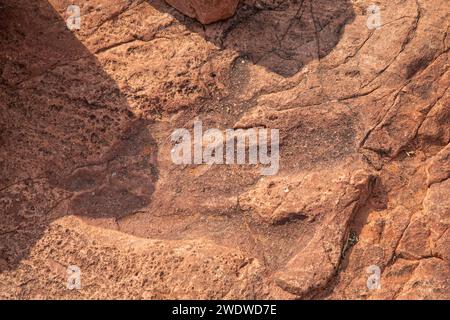 Un'impronta di dinosauro conservata, risalente a circa 200 milioni di anni fa, è chiaramente visibile nella pietra del Monte Etjo, nella Namibia centrale. Foto Stock