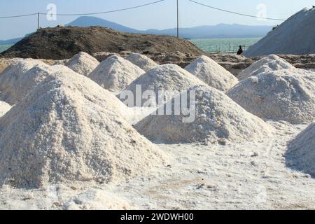 Estrazione del sale nel deserto del Danakil il deserto del Danakil (o deserto dell'Afar) è un deserto nel nord-est dell'Etiopia, nell'Eritrea meridionale e nel nord-ovest del Gibuti. Foto Stock