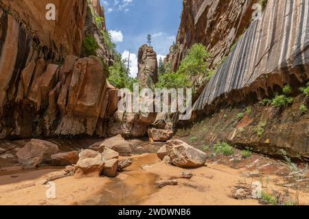 Piccola cascata e pinnacolo roccioso con alberi nello stretto Water Canyon, Canaan Mountain Wilderness, Uath. Foto Stock