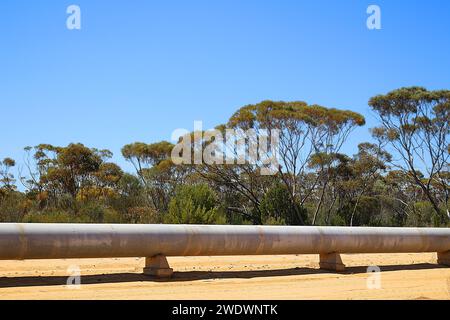 Golden Pipeline - conduttura di acqua da Perth per il Goldfields orientale in Australia Occidentale Foto Stock