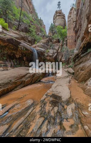 Piccola cascata e pinnacolo roccioso con alberi nello stretto Water Canyon, Canaan Mountain Wilderness, Uath. Foto Stock