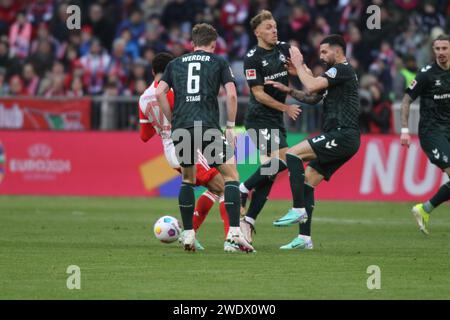 MONACO, Germania. , . #6 TAPPA DI Jens e #3 Anthony JUNG del SV Werder Bremen vs 42 Jamal MUSIALA durante la partita di Bundesliga Football tra FC Bayern Muenchen e SV WERDER BREMEN all'Allianz Arena di Monaco il 21. Gennaio 2024, Germania. DFL, Fussball, 0:1, (foto e copyright @ ATP Images/Arthur THILL (THILL Arthur/ATP/SPP) credito: SPP Sport Press Photo. /Alamy Live News Foto Stock