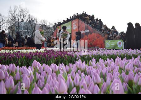 Amsterdam, Paesi Bassi. 20 gennaio 2024. La gente si riunisce per raccogliere tulipani al Museumplein in occasione del National Tulip Day ad Amsterdam, Paesi Bassi, il 20 gennaio 2024, più di 200.000 tulipani colorati creati gratuitamente dai coltivatori olandesi durante il National Tulip Day. (Foto di Mouneb Taim/INA Photo Agency/Sipa USA) credito: SIPA USA/Alamy Live News Foto Stock