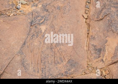 Petroglifo de jirafa, yacimiento rupestre de Ait Ouazik, finales del Neolítico, Marruecos, Africa Foto Stock