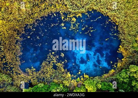 Matati Tirnavou, una piccola zona umida vicino al villaggio di Argyropouli, comune di Tirnavos, Larissa, Tessaglia, Grecia Foto Stock