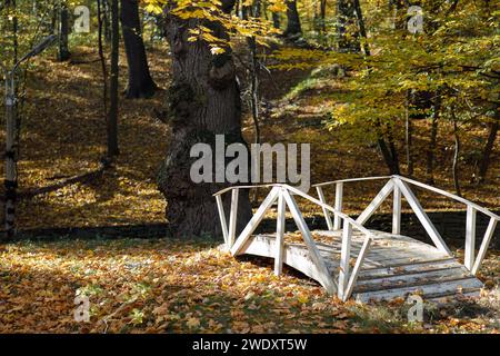 ponte bianco nella foresta autunnale, alberi gialli Foto Stock