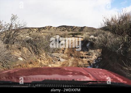 Il percorso accidentato di Gorman Foto Stock