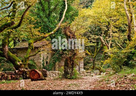 Myli Souliou ("mulini ad acqua di Souli"), Thesprotia, Epirus, Grecia. Qui potete trovare una bella e tradizionale 'kafeneio' (caffetteria in stile greco). Foto Stock