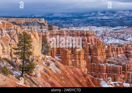 Bryce Amphitheater tra Sunrise e Sunset Points, Bryce Canyon National Park, Utah. Foto Stock