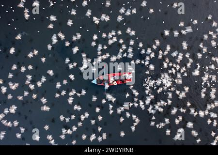 Vista aerea delle persone che danno da mangiare agli uccelli su un peschereccio lungo il fiume Yamuna a nuova Delhi, India. Foto Stock