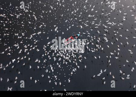 Vista aerea delle persone che danno da mangiare agli uccelli su un peschereccio lungo il fiume Yamuna a nuova Delhi, India. Foto Stock