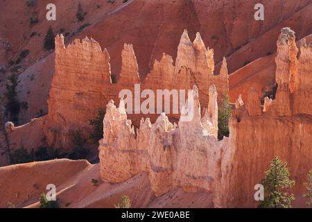 Formazioni rocciose uniche chiamate "hoodos", che brillano splendidamente nella luce del pomeriggio. Foto Stock