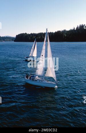 Regata di vela; Yaquina Bay Yacht Club; Yaquina Bay; Oregon; Stati Uniti Foto Stock