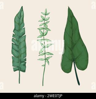Foglie verdi. Foglio disegnato a mano. Elementi decorativi per biglietti d'auguri e inviti. Grafica botanica d'epoca, vegetazione tropicale naturale piante selvatiche, set isolato vettoriale primaverile ed estivo Illustrazione Vettoriale