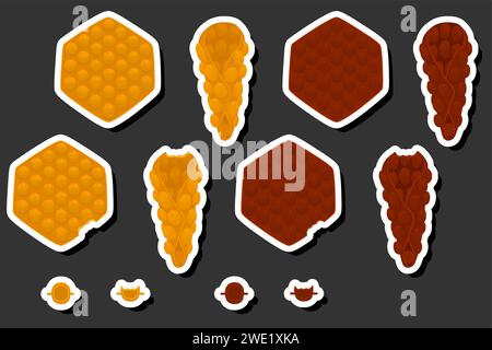 Illustrazione del grande kit a tema diversi tipi di cialda conica con bolle per biscotti da dessert, cialda composta da gustosi biscotti a forma di cono in bolle, Illustrazione Vettoriale
