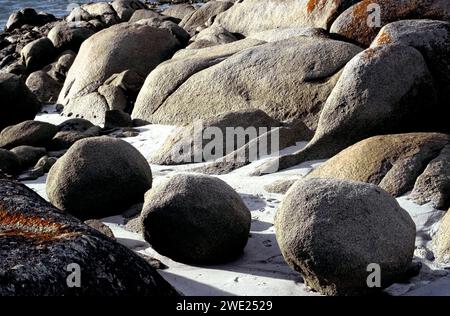 Formazioni rocciose e rocciose costiere coperte a Lichen, Tasmania, Australia Foto Stock