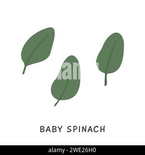 Baby Spinach foglie fresche crude isolate su sfondo bianco. Dieta sana, cibo vegetariano. Pianta per insalata verde in stile piatto. Elemento disegnato a mano per COO Illustrazione Vettoriale