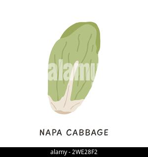 Vettore di cavolo cinese di Napa Cabbage di colore semplice. Cartone animato PE-Tsai foglia vegetale in stile cartone animato piatto isolato su bianco Illustrazione Vettoriale