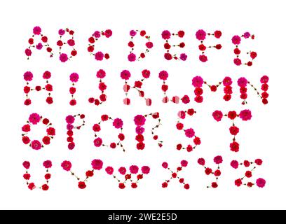 Alfabeto floreale. Lettere inglesi fatte di rosa e rosso. Lettere di fiori e boccioli di rosa su sfondo bianco. Foto Stock