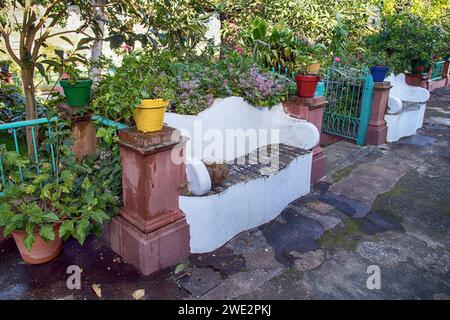 Una panchina colorata in pietra in un giardino (la Palma, Canarie, Spagna) Foto Stock