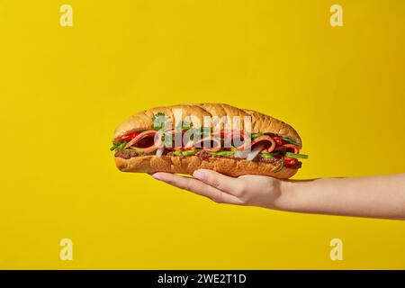 Nella mano della donna c'è un pane vietnamita ripieno di carne, panini e paté servito con verdure su sfondo giallo. Foto pubblicitaria, vietnamita Foto Stock