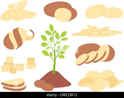 Cartoni animati a fette di patate ingredienti crudi. Bastoncini di patate bianchi, fette e cubetti. Preparare le verdure per i pasti. Elementi vettoriali di razze per l'agricoltura fresca Illustrazione Vettoriale