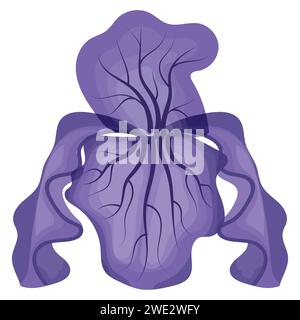 Fiore di Iris viola. Illustrazione vettoriale isolata su sfondo bianco. Illustrazione Vettoriale