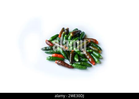 Freddo per l'occhio di uccello , utilizzato nei curry e in altri alimenti Foto Stock