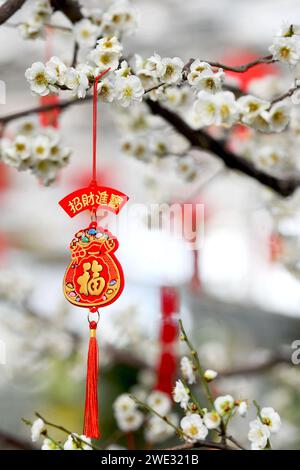 Qingdao, Cina. 23 gennaio 2024. Un ciondolo festoso è appeso a un ramo fiorito di prugne al Tao Garden Center di Qingdao, in Cina, il 23 gennaio 2024. (Foto di Costfoto/NurPhoto) credito: NurPhoto SRL/Alamy Live News Foto Stock